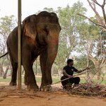 Photo taken by Kristy P