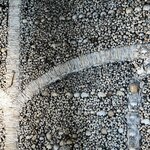 Photo taken by Rocky L