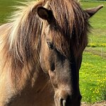 Photo taken by Anita H