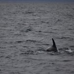 Photo taken by Amanda Z