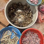 Photo taken by Jose C