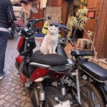 Photo taken by Pam R