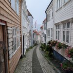 Photo taken by Mitzi F