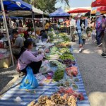 Photo taken by Anil C