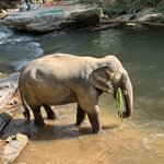 Photo taken by Debra Z