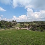 Photo taken by Tatiana F