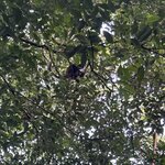 Photo taken by Imogen E