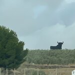 Photo taken by Steven C