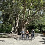 Photo taken by Kristin B