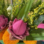 Photo taken by Aaron H