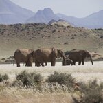 Photo taken by Joaquin M