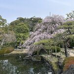 Photo taken by Norma M