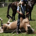 Photo taken by Eric T