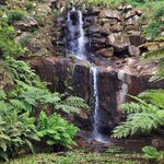 Photo taken by Mike T