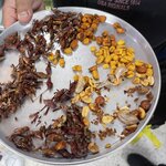 Photo taken by Cary W