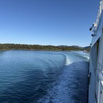 Photo taken by Vikki M