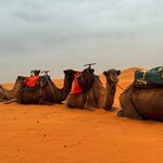 Photo taken by Deb H