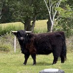 Photo taken by Anne W