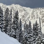 Home | Photo taken by Todd M