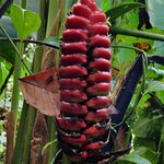 Photo taken by Mordechay T