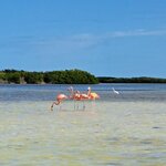 Photo taken by Cheryl W