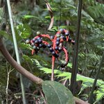 Photo taken by Carrie N