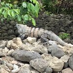 Photo taken by Karen P