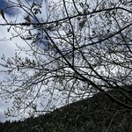 Photo taken by Sylvia S