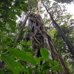 Photo taken by Victoria E