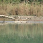 Photo taken by Katherine J