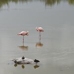 Photo taken by Vinay K