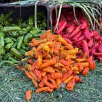 Photo taken by Susan R