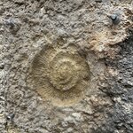 Photo taken by christina s