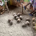 Photo taken by Lisa G