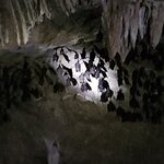 Photo taken by Sabiha K