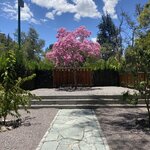 Photo taken by Jessica S