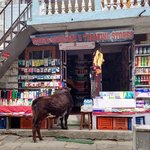 Shopping in Namche | Photo taken by Dorine H
