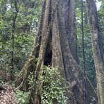 Photo taken by Joyce C