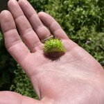 Photo taken by Amanda H