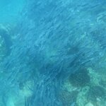 Photo taken by Steven P