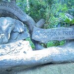 Photo taken by Suzanne W