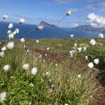 Photo taken by Eleanor S