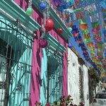 Photo taken by Priya R