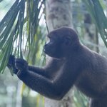 Photo taken by Sangeetha R