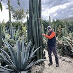 Photo taken by Vicki Lynn M