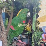 Photo taken by Amanda P