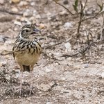 Photo taken by Graham D