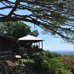 Photo taken by William R