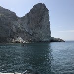 Photo taken by Liz S