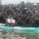 Photo taken by Rosemary S